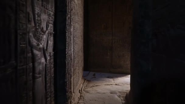 Interior del templo de Dendera o Templo de Hathor. Egipto. Dendera, Denderah, es una pequeña ciudad en Egipto. Complejo del Templo Dendera, uno de los templos mejor conservados del antiguo Alto Egipto . — Vídeos de Stock