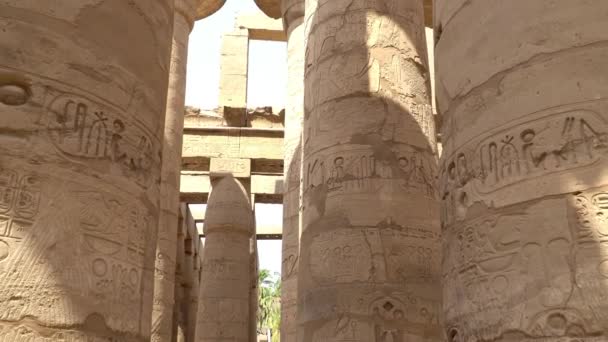 Templo Karnak em Luxor, Egito. O Complexo do Templo de Karnak, comumente conhecido como Karnak, compreende uma vasta mistura de templos, capelas, pilões e outros edifícios cariados no Egito. . — Vídeo de Stock