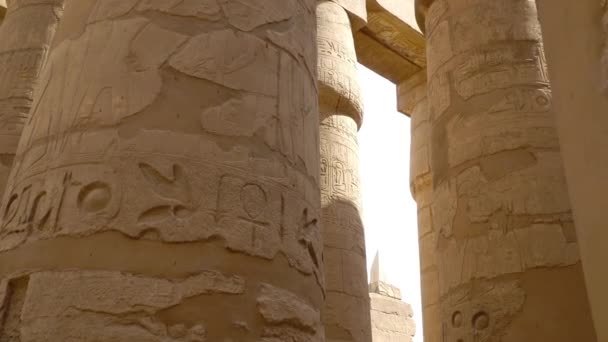 在埃及卢克索的卡纳克庙。卡纳克寺庙建筑群, 俗称卡纳克, 包括在埃及的腐朽的寺庙, 教堂, 塔和其他建筑物的大量混合. — 图库视频影像