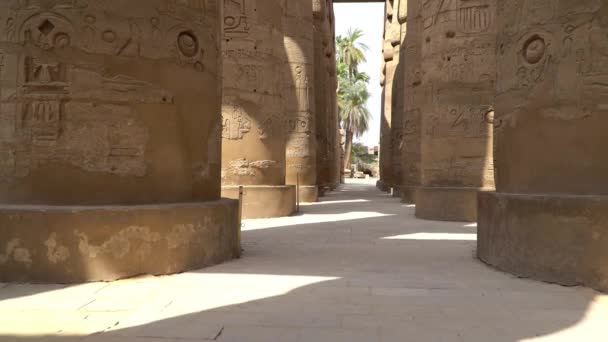 エジプト、ルクソールのカルナック神殿。カルナック、通称カルナック寺院群は、朽ち果てた寺院、礼拝堂、パイロン、エジプトの他の建物の広大なミックスで構成されて. — ストック動画