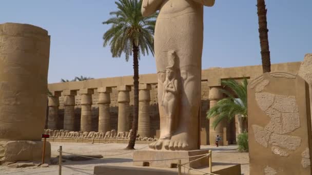 在埃及卢克索的卡纳克庙 卡纳克寺庙建筑群 俗称卡纳克 包括在埃及的腐朽的寺庙 塔和其他建筑物的大量混合 — 图库视频影像
