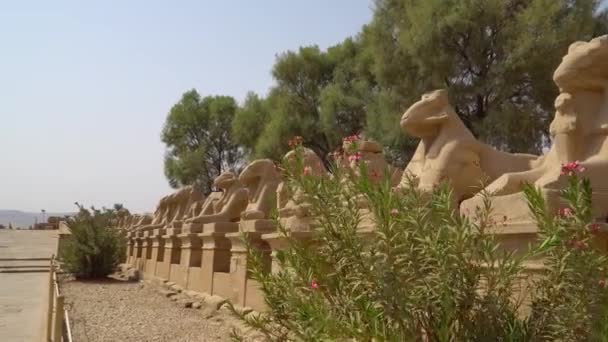 Templo Karnak Luxor Egito Complexo Templo Karnak Comumente Conhecido Como — Vídeo de Stock