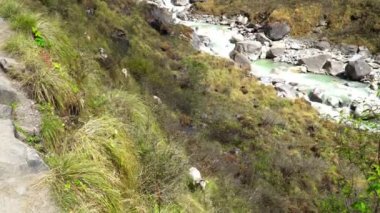 Annapurna temel kamp trek. Himalaya dağ manzarası Annapurna bölgesinde, Nepal.