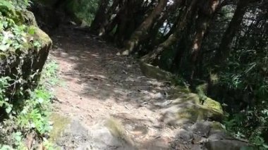 Trekking izinde yürüyen Annapurna Saha Kampı, Himalayalar, Nepal için uzun yürüyüşe çıkan kimse. POV.