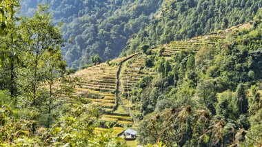 Doğa güzel manzarasına Annapurna Merkez kampına, Himalayalar, Nepal trekking bir iz üzerinde. Himalaya dağ manzarası Annapurna bölgesinde. Annapurna temel kamp trek