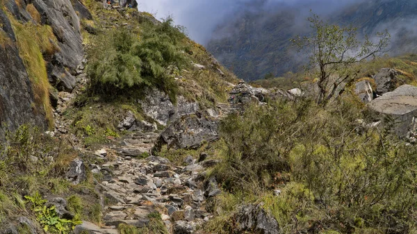 Bela Vista Natureza Uma Trilha Trekking Para Acampamento Base Annapurna — Fotografia de Stock