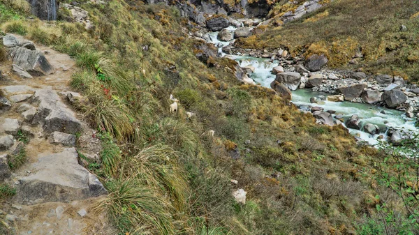 Bela Vista Natureza Uma Trilha Trekking Para Acampamento Base Annapurna — Fotografia de Stock