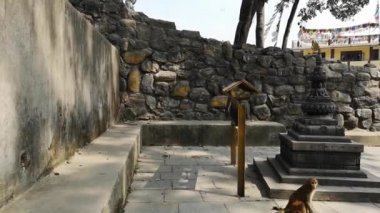 Katmandu, Nepal - Ekim 2018: Swayambhunath ya da maymun temle. Katmandu, Nepal. Swayambhunath, veya Swayambu veya Swoyambhu, bir antik dini Katmandu Vadisi'nde bir tepenin üstüne mimaridir.