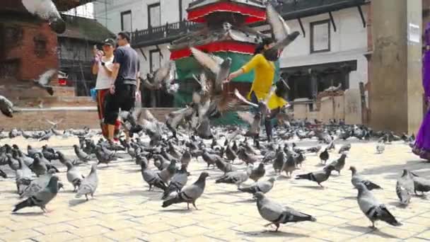Katmandu, Nepal - Ekim 2018: Süper ağır çekim 960 fps. Güvercinler Durbar Meydanı'nda. Katmandu, Nepal. Katmandu Durbar Meydanı Unesco Dünya Mirasları Nepal biridir. — Stok video