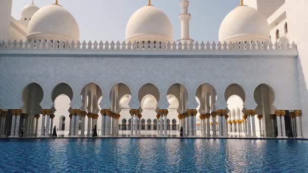 अबू धाबी, संयुक्त अरब अमीरात। शेख जायद बिन सुल्तान अल नाहयान मस्जिद . — स्टॉक वीडियो