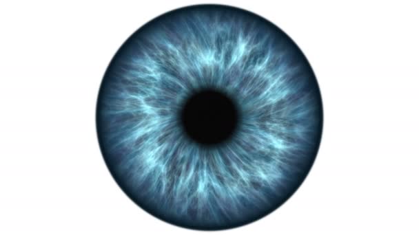 Blue Human Eye Dilating Contracting Very Detailed Extreme Close