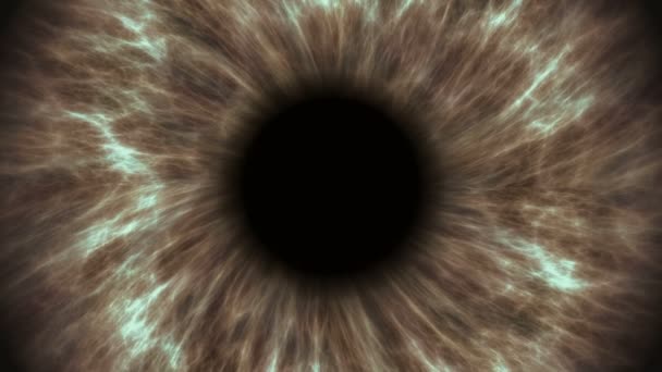 braunes menschliches Auge, das sich erweitert und zusammenzieht. sehr detaillierte extreme Nahaufnahme von Iris und Pupille.
