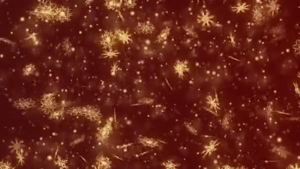 クリスマスと新年のシームレスなループ アニメーション。濃い赤の背景にゴールド クリスマス雪の結晶。冬不思議の国の魔法の雪. — ストック動画