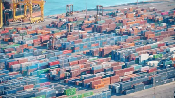 BARCELONA, SPAIN - CIRCA 2019: Cargo Port In Barcelona. Port Container Dock Loading Cargo. Sorting Yard With Containers. Containers And Cranes. — Stock Video