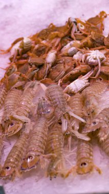 Pembe taze karides ile bir süpermarket veya balık dükkanda buz dondurulmuş. Pişmemiş deniz ürünleri arka plan kapatın. Taze dondurulmuş karides, lezzetleri, deniz gıda kavramı, yakın çekim.