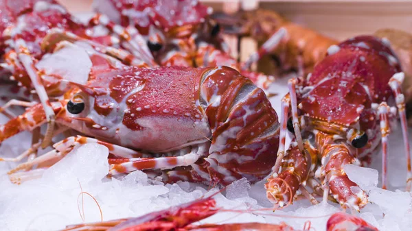 Φρέσκα ροζ κατεψυγμένες γαρίδες με πάγο σε ένα κατάστημα σούπερ μάρκετ ή ψάρι. Ωμά θαλασσινά κοντινό φόντο. Νωπά κατεψυγμένα γαρίδες, λιχουδιές θάλασσα τροφίμων έννοια, κοντινό πλάνο. — Φωτογραφία Αρχείου