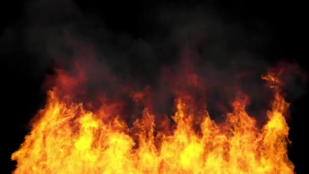 Plamen ohně s jiskry na černém pozadí — Stock video
