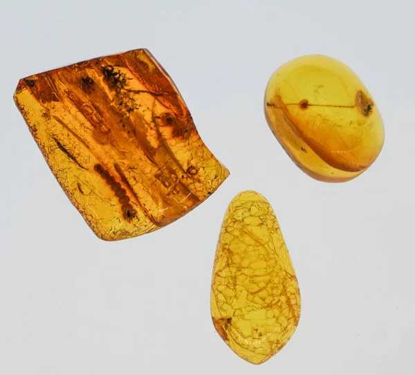 Piedra ámbar. Auténtico ámbar báltico con macro de insectos fósiles prehistóricos. Lupa y ámbar en aumento . — Foto de Stock