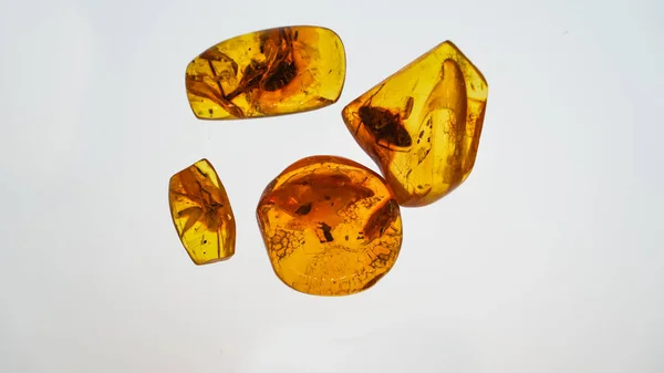 Amber stone. Authentic Baltic amber with prehistoric fossil insect macro. Magnifying glass and increasing amber. — Stock Photo, Image