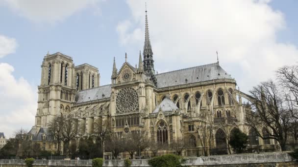 Notre Dame Paris Cattedrale Notre Dame Parigi Francia Interruzione Temporale — Video Stock