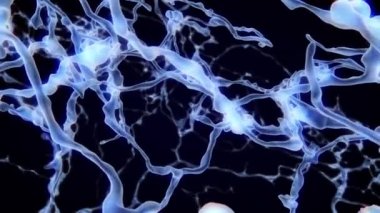 Gerçek nöron ağı insan beyninin içinde sinaps. Nöronal ve SYNAPSE aktivite 3D animasyon. İnsan beyninin içindeki elektrik impulsları.