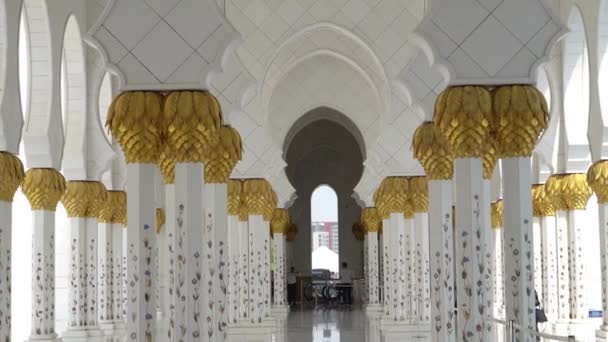 Abu Dhabi Emiratos Árabes Unidos Octubre 2018 Mezquita Sheikh Zayed — Vídeo de stock