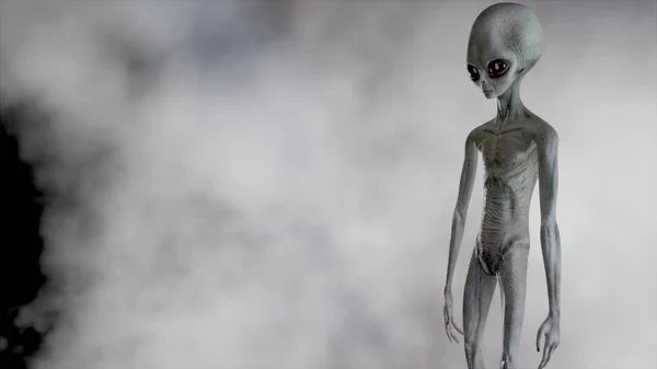 Scary Gray Alien Walks Looks Blinking Dark Smoky Background Ufo Stock Image