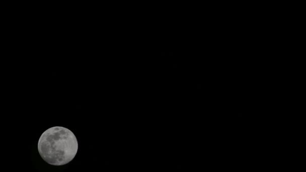 Moon Timelapse Stock Time Lapse Luna Piena Sorgere Nel Cielo — Video Stock