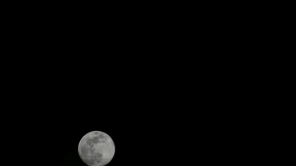Місяць Тімелапс Проміжок Часу Повний Місяць Сходу Темному Небі Природи — стокове відео