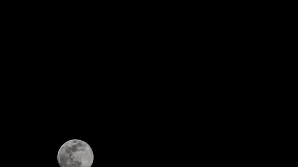 Lua Timelapse Stock Time Lapse Lua Cheia Subir Céu Escuro — Vídeo de Stock