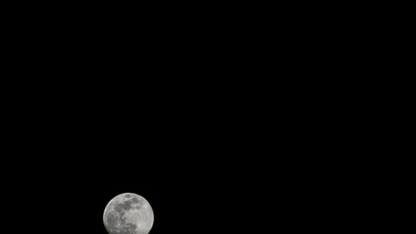 Moon Timelapse Stock Time Lapse Fullmåne Uppgång Mörk Natur Himmel — Stockvideo