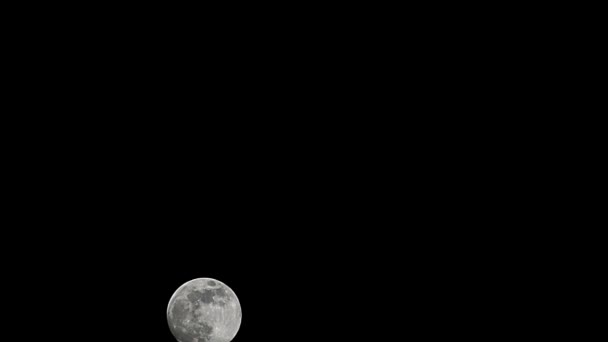 Moon Timelapse Stock Time Lapse Fullmåne Uppgång Mörk Natur Himmel — Stockvideo