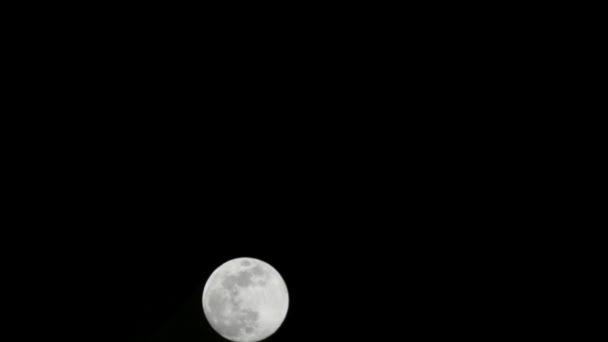 Księżyc Timelapse Stock Time Lapse Pełnia Księżyca Wschodzi Ciemnej Naturze — Wideo stockowe