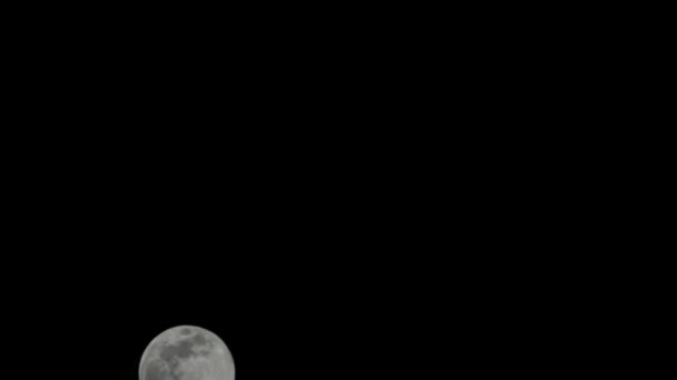 Luna Timelapse Stock Time Lapse Full Moon Rise Dark Nature — Vídeo de stock