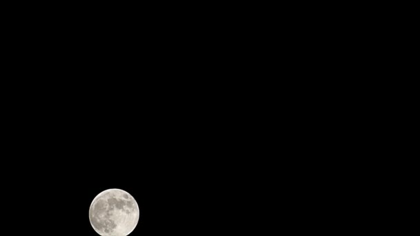 Moon Timelapse Stock Zamanaşımı Dolunay Karanlık Gökyüzünde Yükseliyor Gece Vakti — Stok video