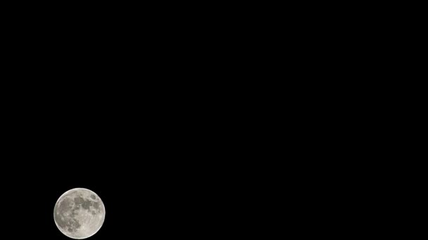 月亮时间流逝 股票时间流逝 满月升起在黑暗的自然天空 夜晚的时间 在漆黑的夜空中 满月的圆盘时间随着月光的照射而消逝 高质量的免费录像或时间间隔 — 图库视频影像