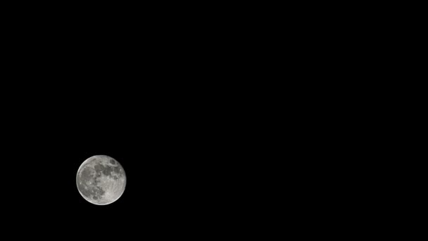 Moon Timelapse Stock Time Lapse Telihold Emelkedik Sötét Természet Éjszakai — Stock videók