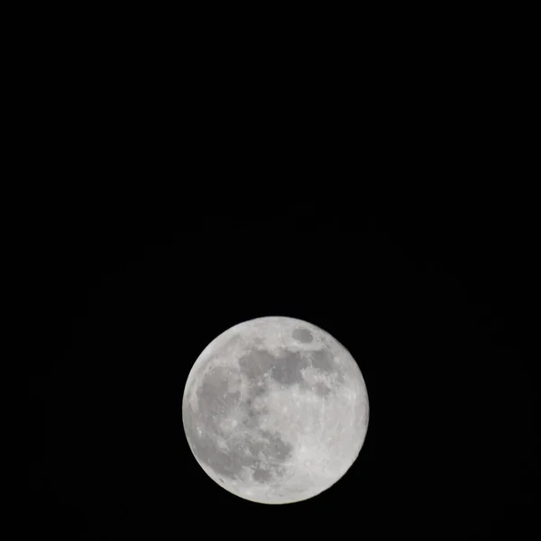 Luna Llena Cielo Nocturno Gran Super Luna Cielo —  Fotos de Stock