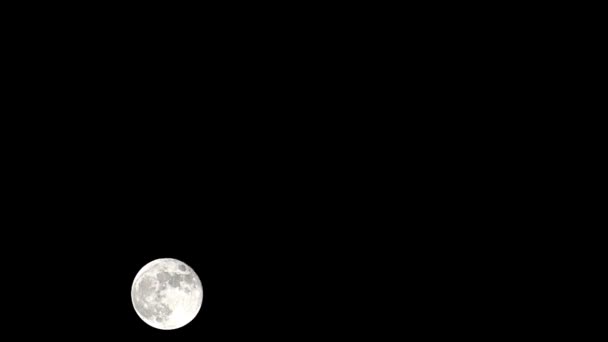 Luna Timelapse Stock Time Lapse Full Moon Rise Dark Nature — Vídeo de stock