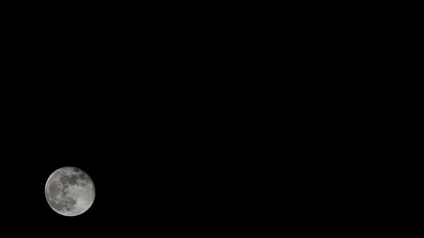ムーンタイムラプス 株式時間の経過 暗い自然の空で満月の上昇 夜の時間 暗い夜空に満月の光で満月のディスクの時間の経過 高品質のフリービデオ映像やタイムラプス — ストック動画