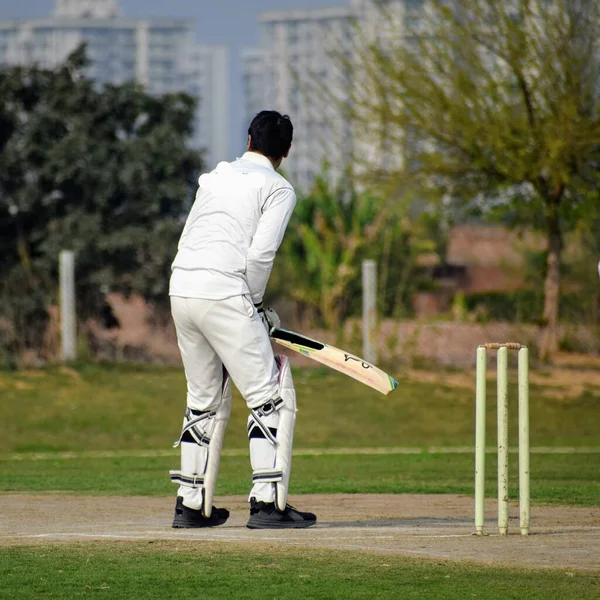 Comprimento Total Jogador Críquete Jogando Campo Durante Dia Ensolarado Cricketer — Fotografia de Stock