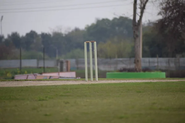 Güneşli bir günde sahada oynayan kriket oyuncusu, sahada oynayan kriket oyuncusu, gündüz sahada oynayan oyuncular.
