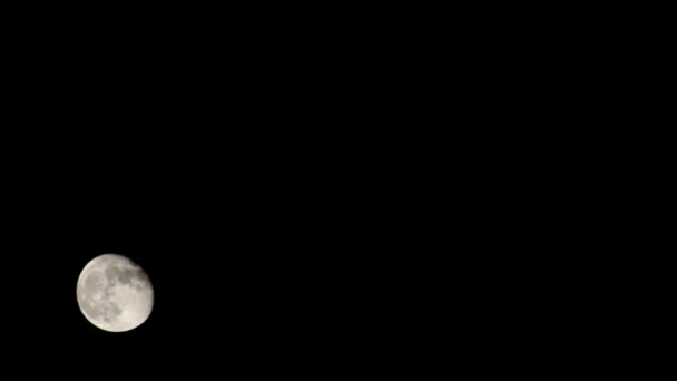 Σελήνη Timelapse Stock Time Lapse Πανσέληνος Αυξάνεται Στο Σκοτεινό Ουρανό — Αρχείο Βίντεο