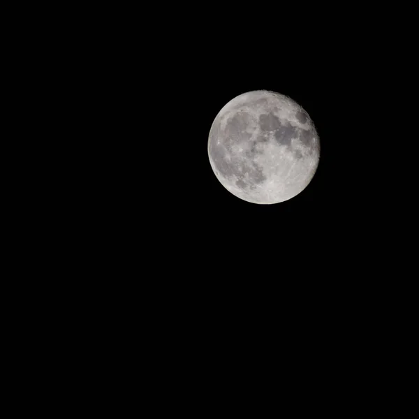 Pleine Lune Dans Ciel Nocturne Grande Super Lune Dans Ciel — Photo