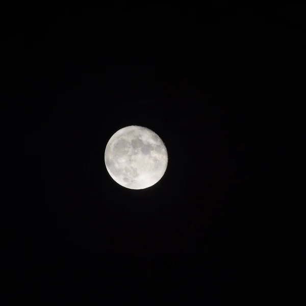 Full moon in the night sky, Great super moon in sky during the night time