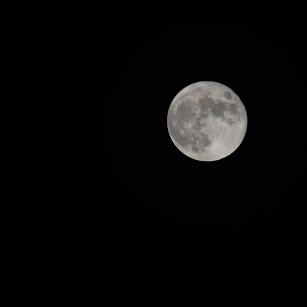 Full moon in the night sky, Great super moon in sky during the night time