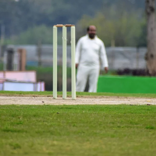 New Delhi Inde Mars 2020 Toute Longueur Joueur Cricket Jouant — Photo