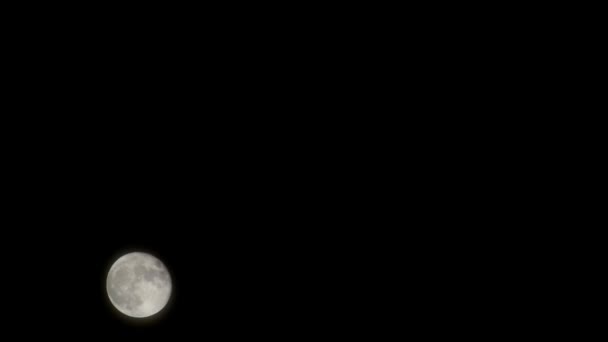 Moon Timelapse Stock Time Lapse Fullmåne Uppgång Mörk Natur Himmel — Stockvideo