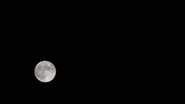 Lune Timelapse, Stock time lapse : Pleine lune lever dans la nature sombre ciel, nuit. Pleine lune disque laps de temps avec la lumière de la lune dans la nuit ciel noir foncé. Images vidéo gratuites de haute qualité ou timelapse