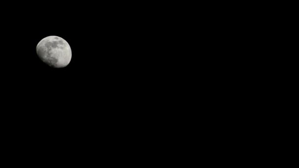 Moon Timelapse Stock Time Lapse Full Moon Rise Dark Nature — Stock Video